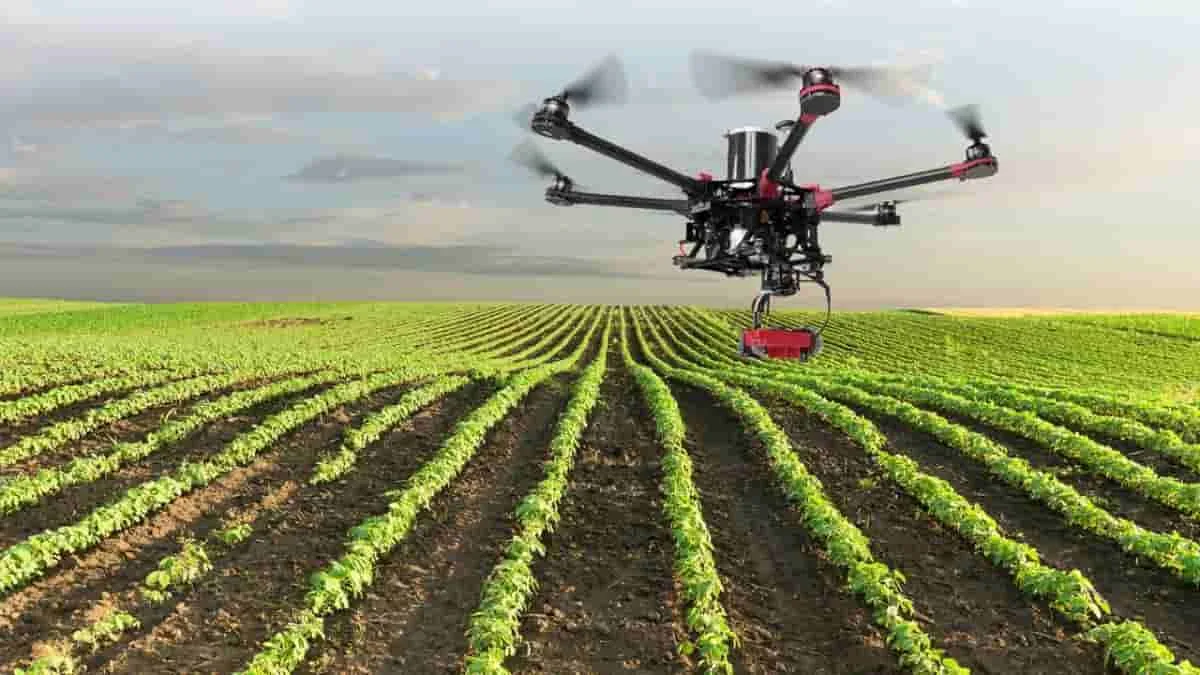 El impacto de la tecnología en la industria de la agricultura y la producción de alimentos.