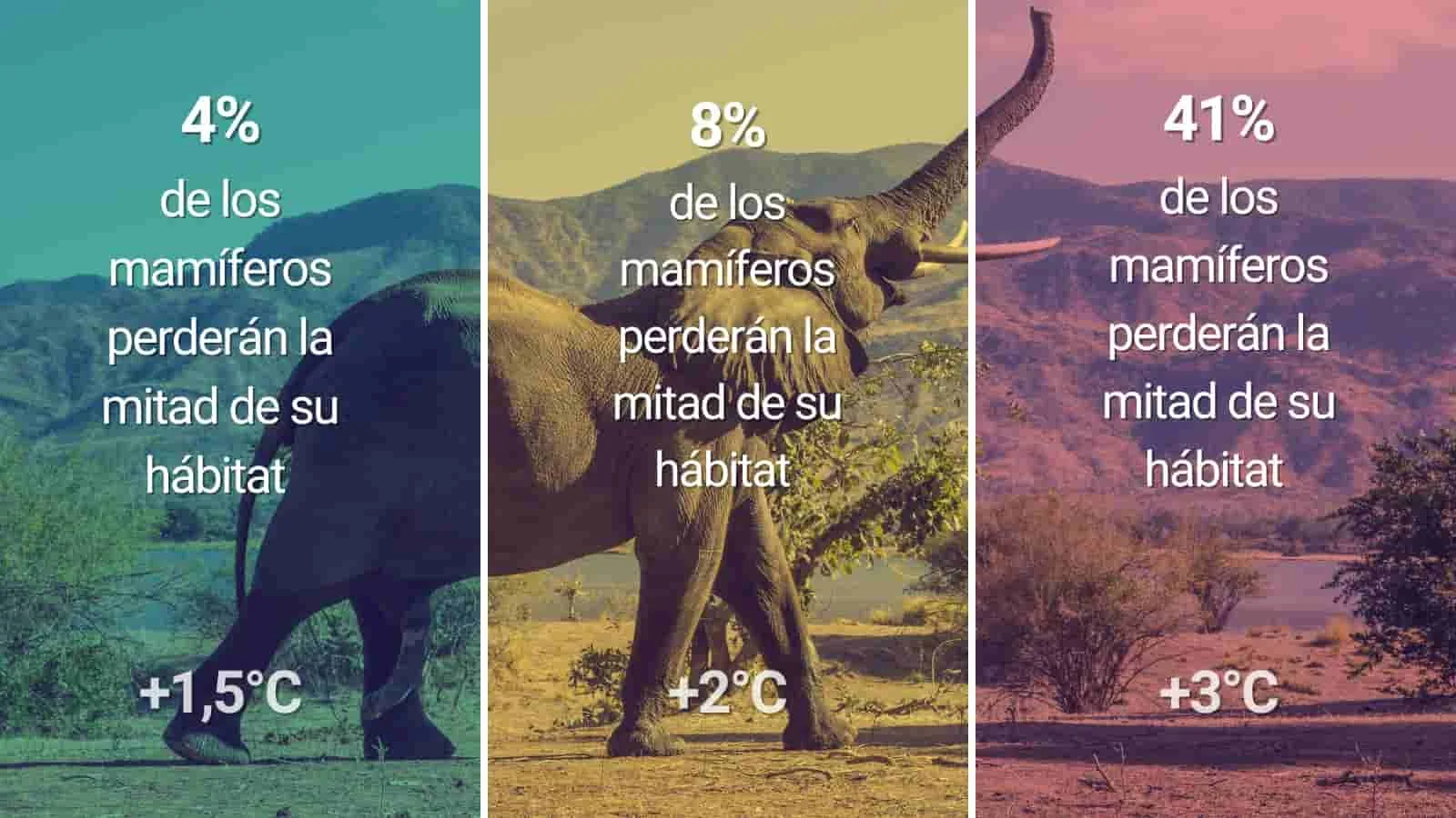 El impacto del cambio climático en la migración de especies y la biodiversidad.