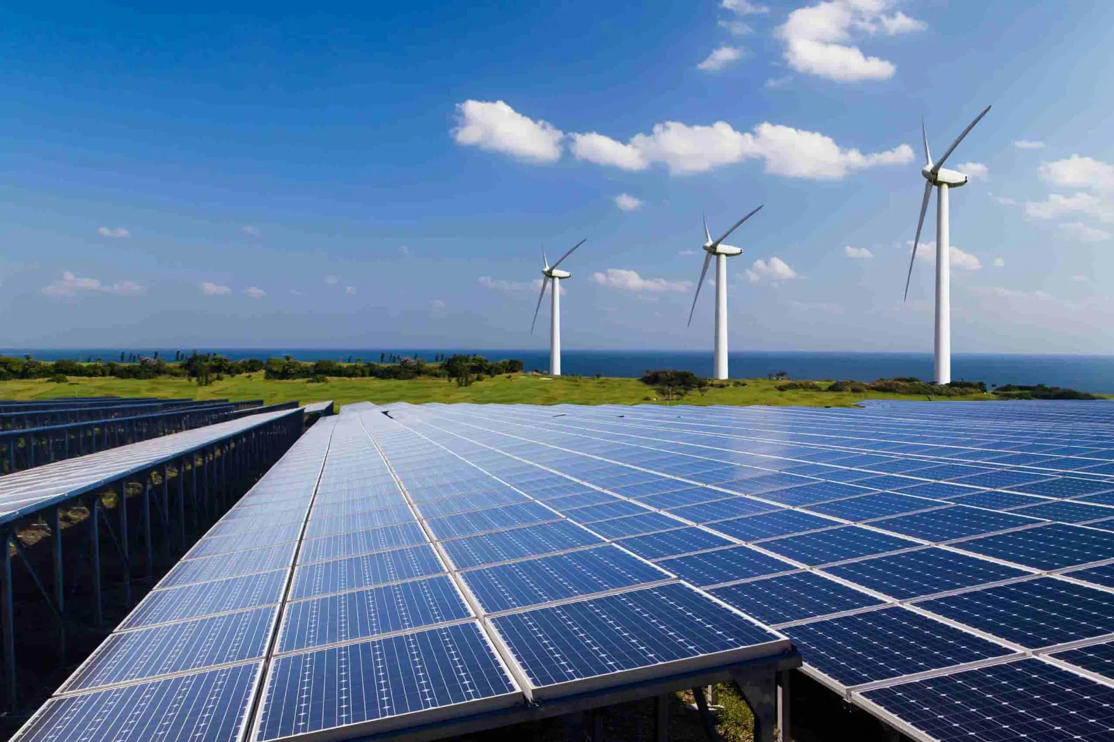 La importancia de la gestión de la innovación en el sector de las energías renovables.