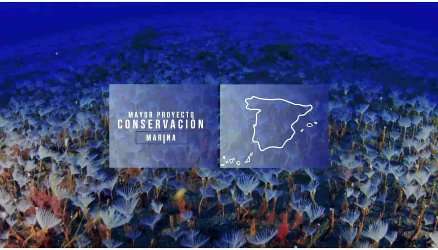 Los desafíos de la gestión sostenible de los océanos y la protección de la vida marina.